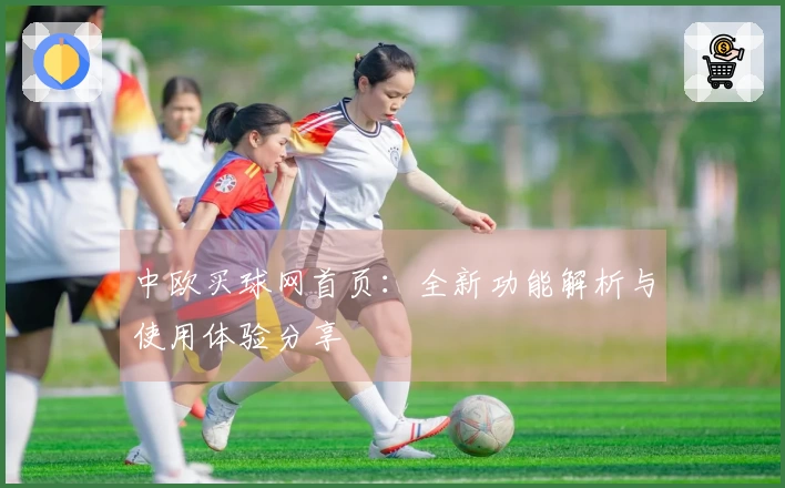 中欧买球网首页：全新功能解析与使用体验分享