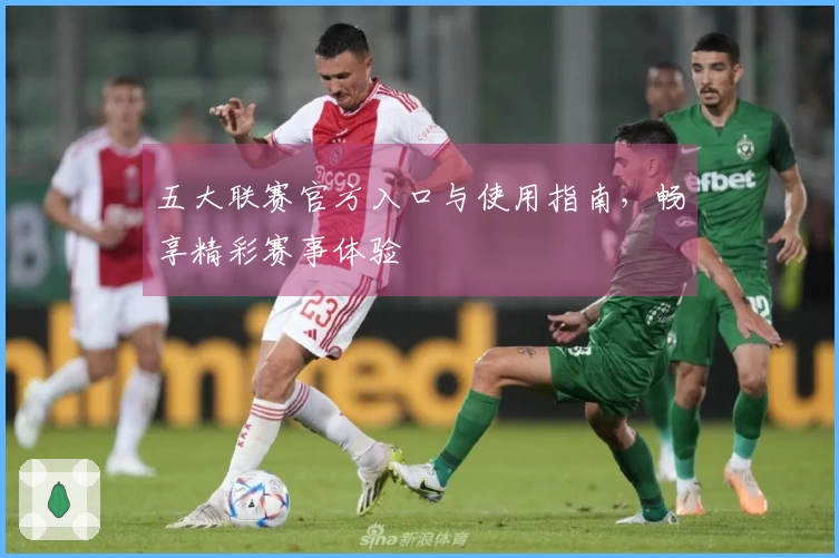 五大联赛官方入口与使用指南，畅享精彩赛事体验