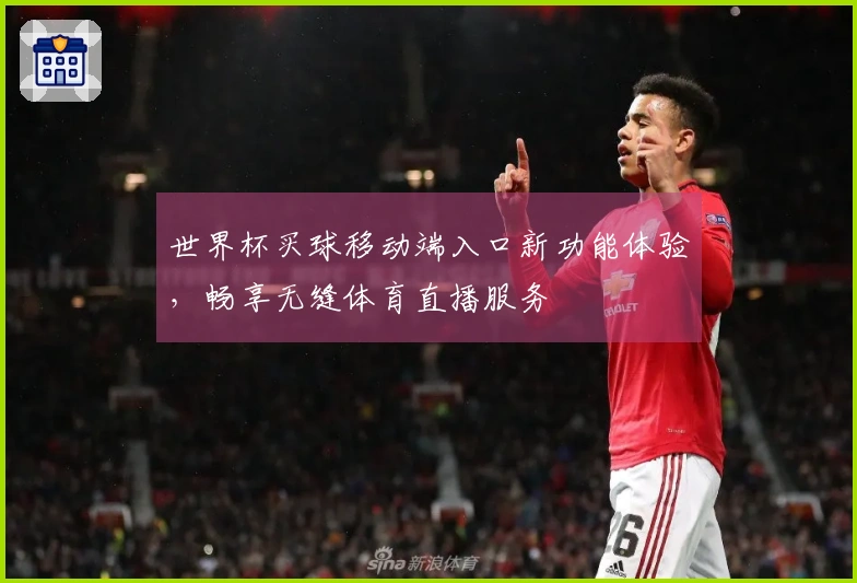 世界杯买球移动端入口新功能体验,畅享无缝体育直播服务