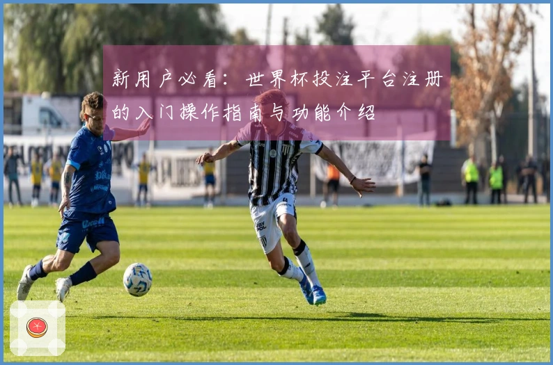 新用户必看：世界杯投注平台注册的入门操作指南与功能介绍