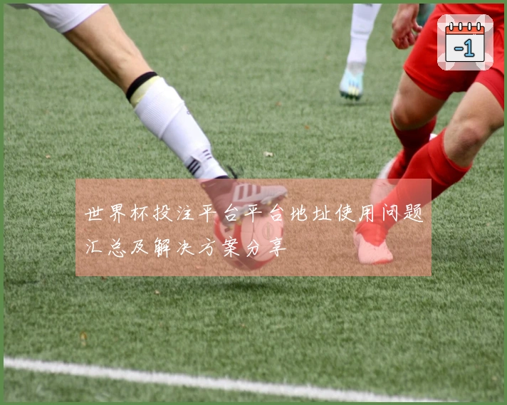 世界杯投注平台平台地址使用问题汇总及解决方案分享