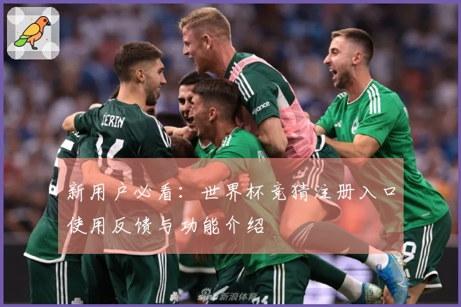 新用户必看：世界杯竞猜注册入口使用反馈与功能介绍