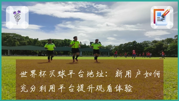 世界杯买球平台地址：新用户如何充分利用平台提升观看体验