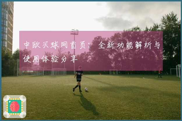 中欧买球网首页：全新功能解析与使用体验分享