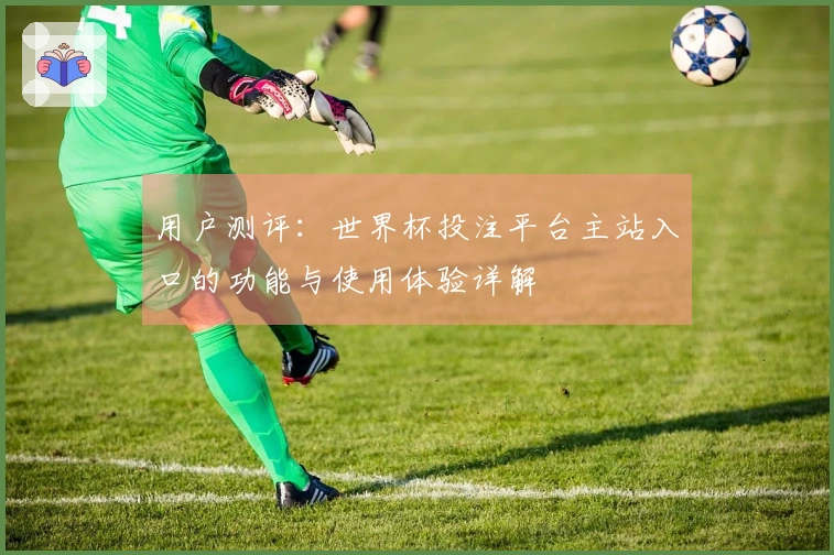 用户测评：世界杯投注平台主站入口的功能与使用体验详解