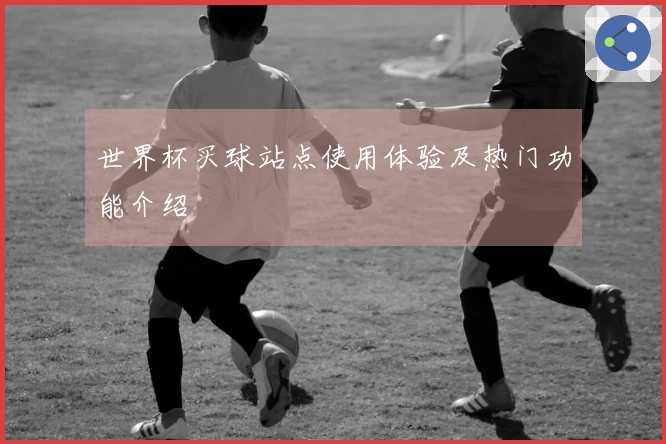 世界杯买球站点使用体验及热门功能介绍