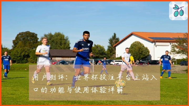 用户测评：世界杯投注平台主站入口的功能与使用体验详解