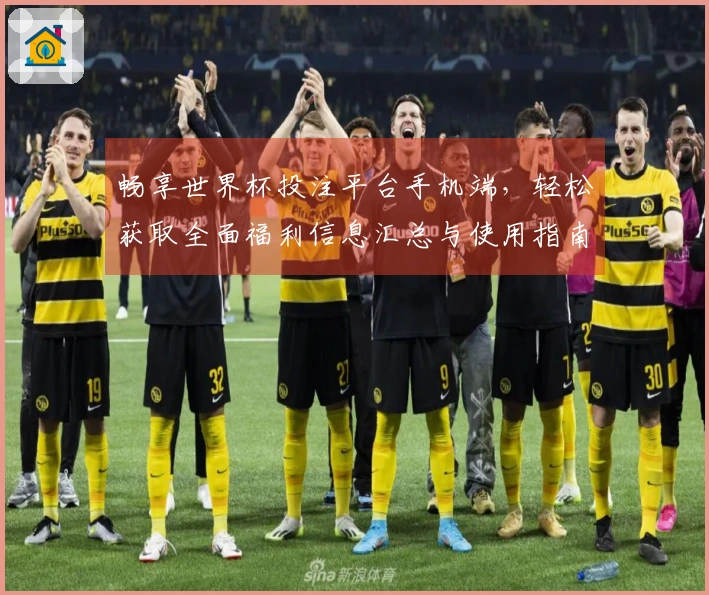 畅享世界杯投注平台手机端，轻松获取全面福利信息汇总与使用指南