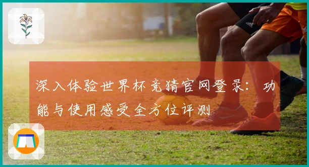 深入体验世界杯竞猜官网登录：功能与使用感受全方位评测