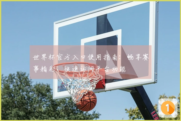 世界杯官方入口使用指南:畅享赛事精彩,快速访问平台功能